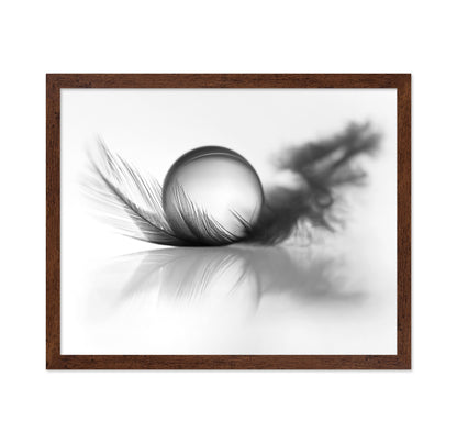 Feather Still Life