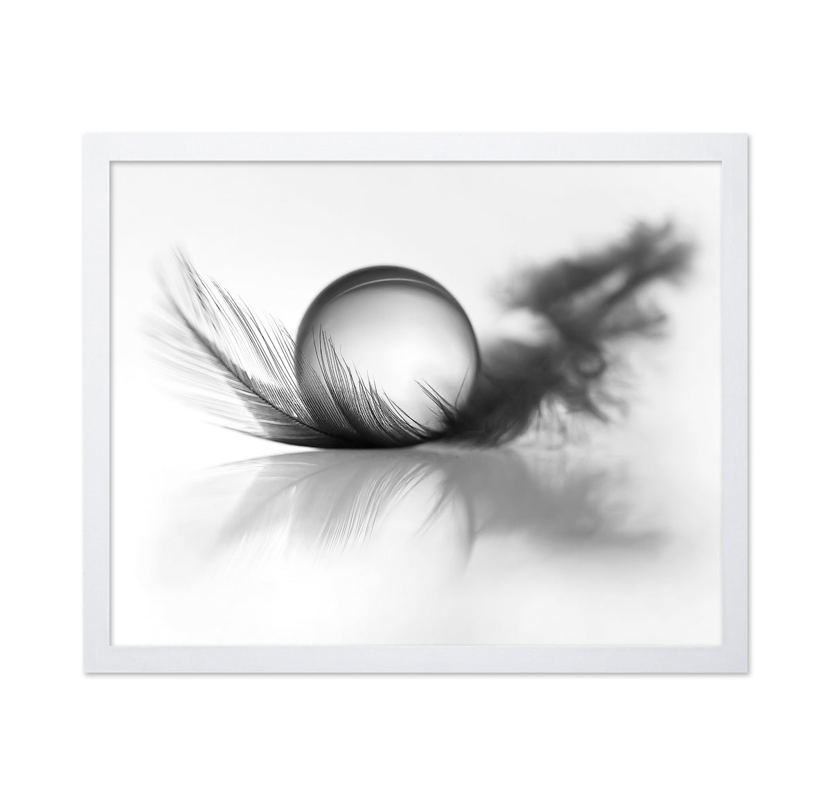 Feather Still Life
