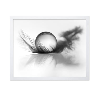 Feather Still Life