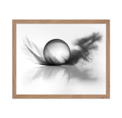 Feather Still Life