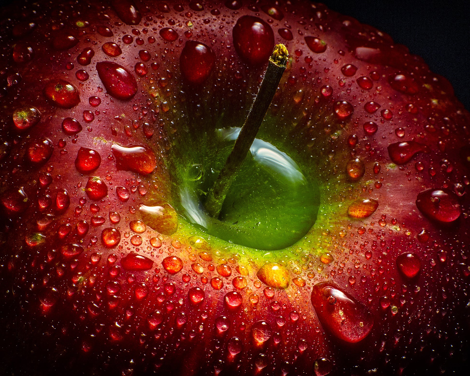 Red Apple No1