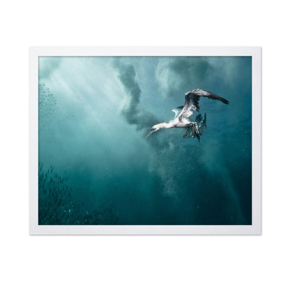 Plunge Diver