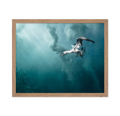 Plunge Diver