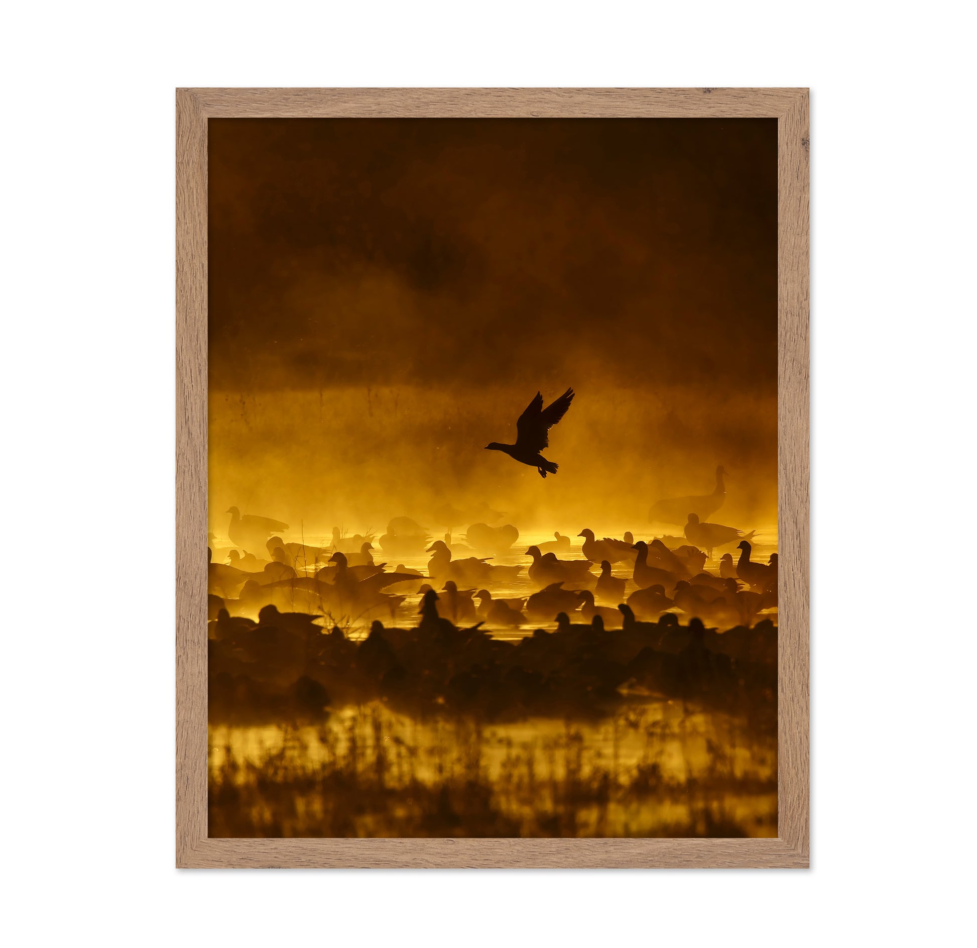 Fire In The Mist