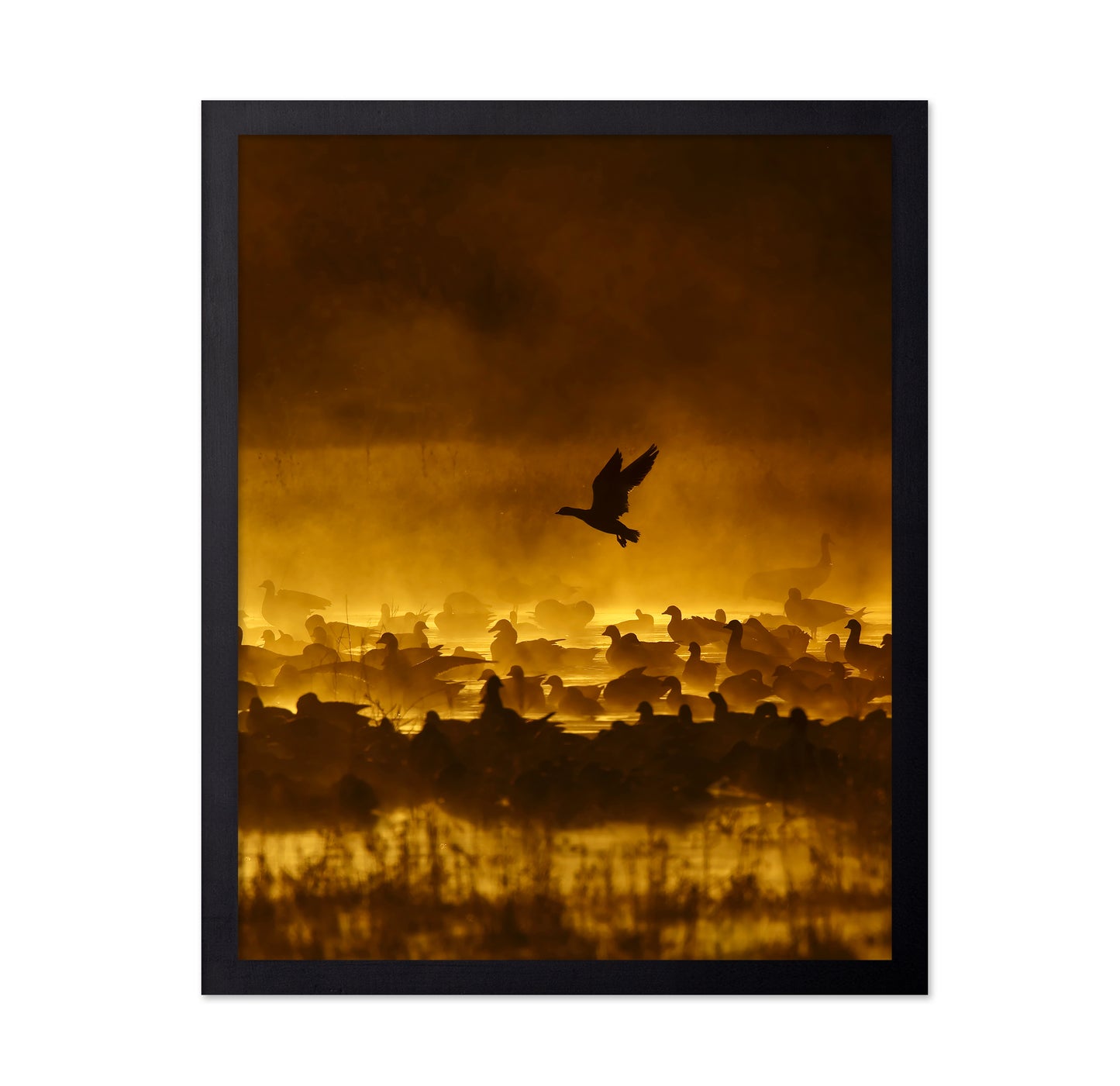 Fire In The Mist