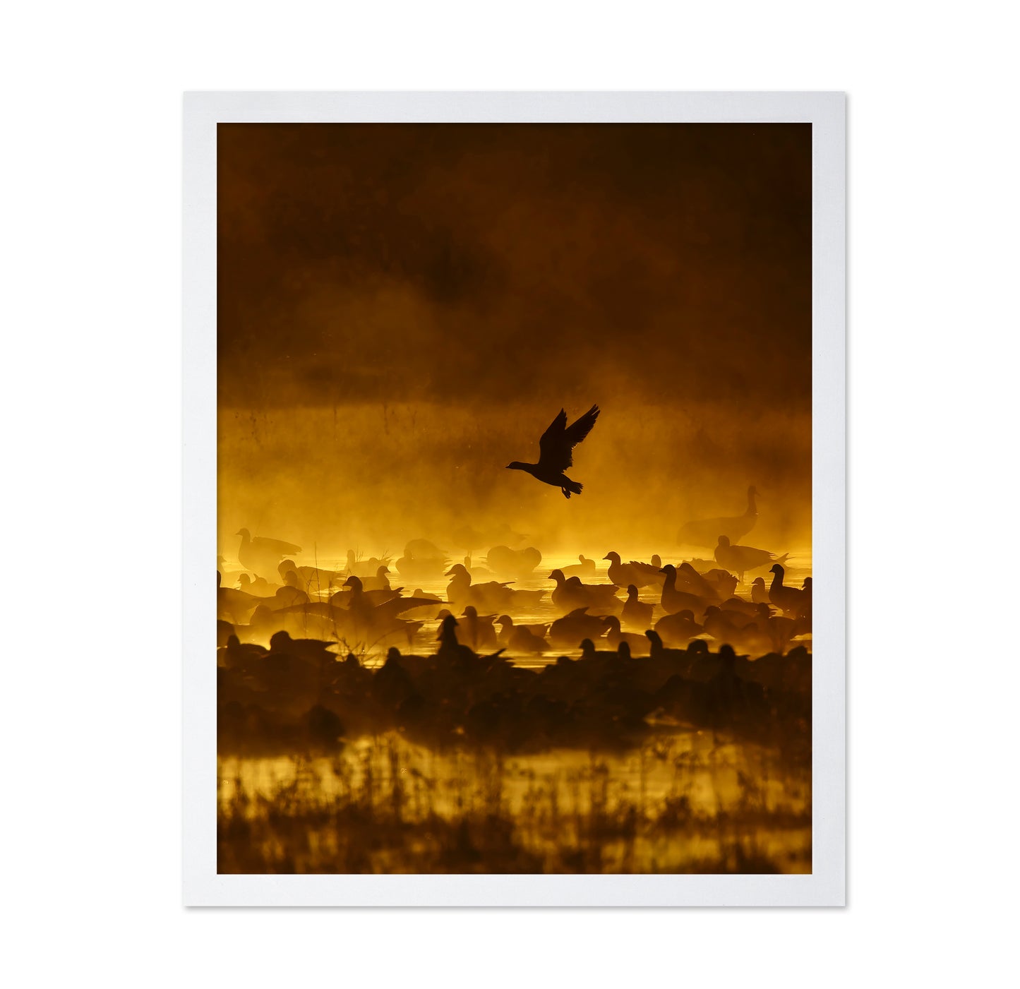 Fire In The Mist
