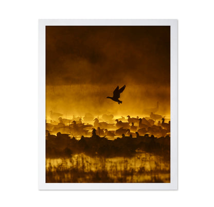 Fire In The Mist