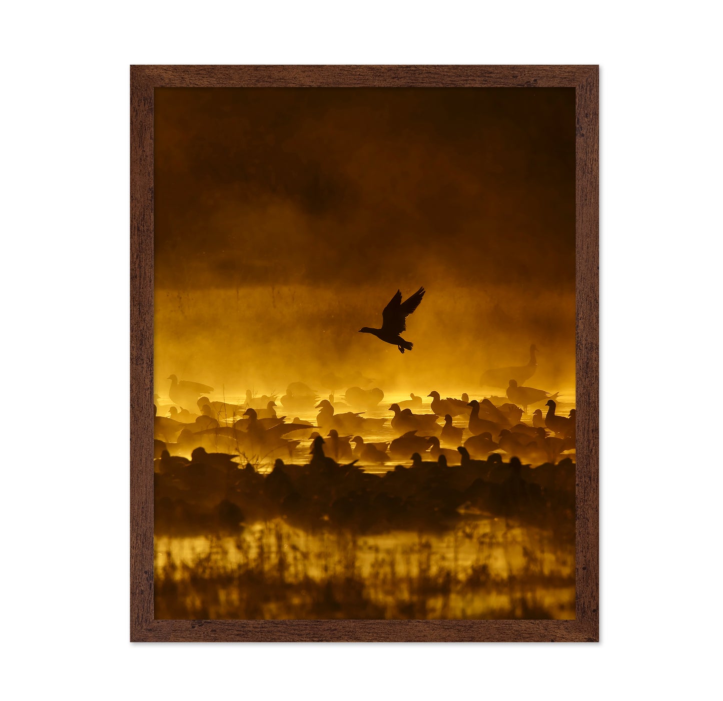Fire In The Mist