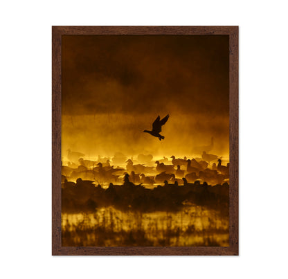 Fire In The Mist