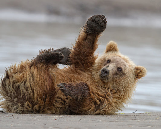 High Five