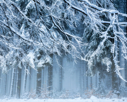 Snowworld