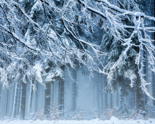 Snowworld