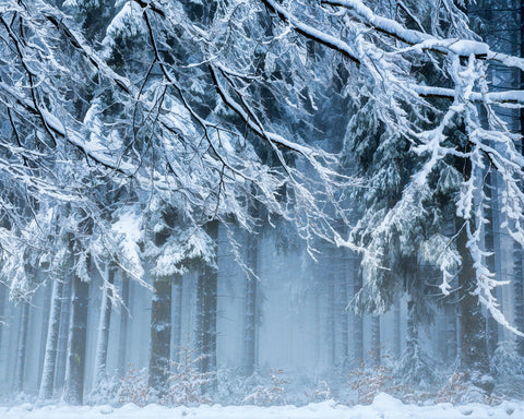 Snowworld