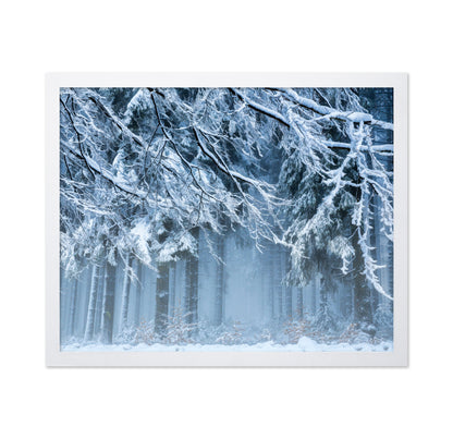 Snowworld