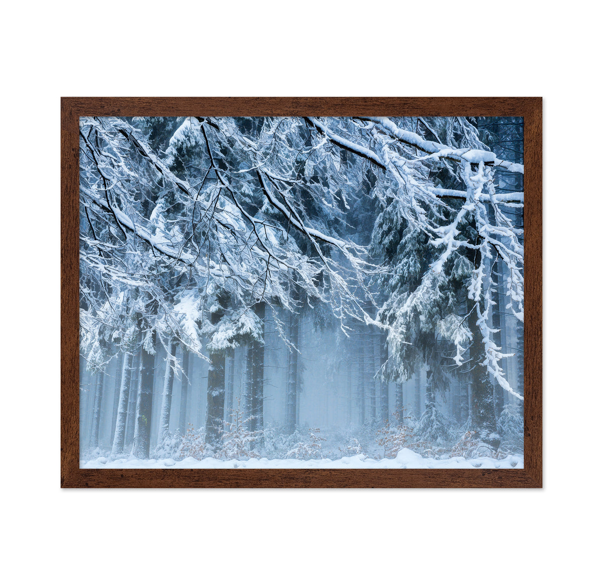 Snowworld