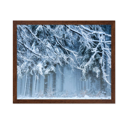 Snowworld
