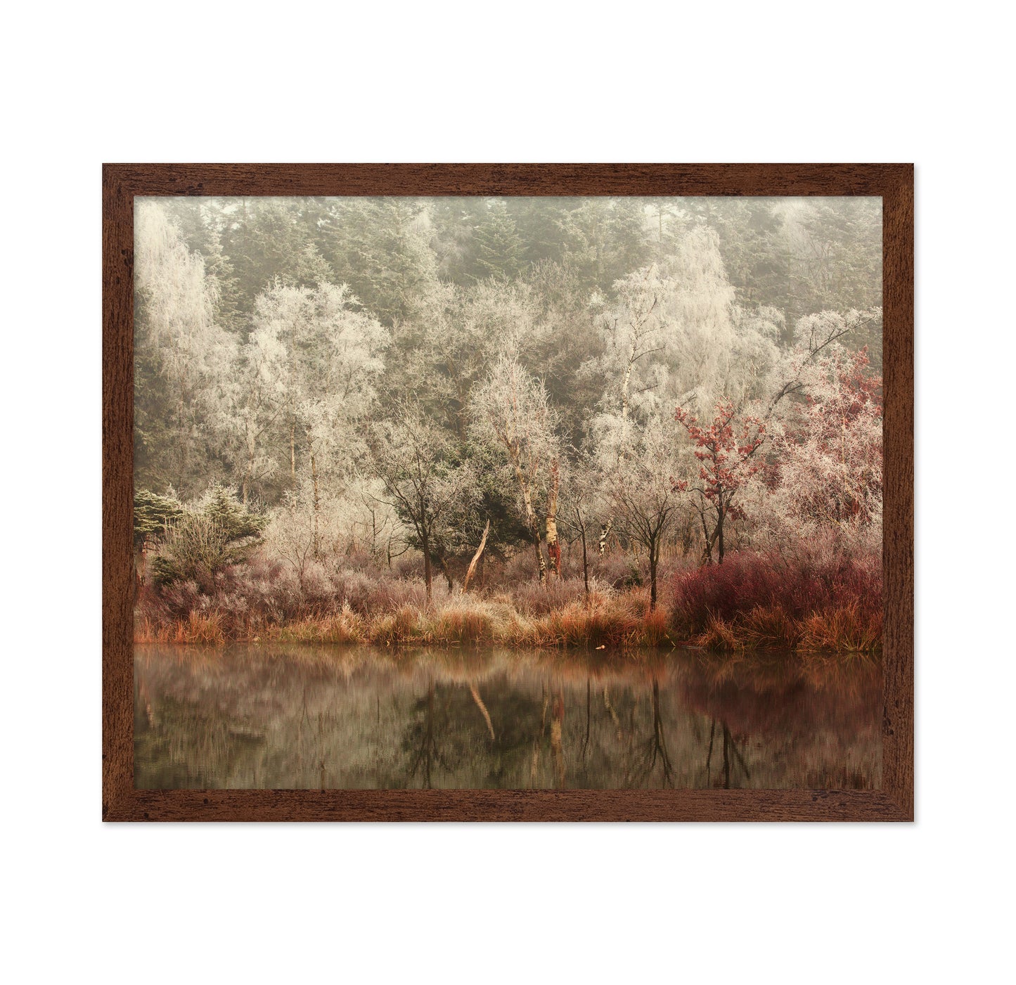Frozen Forest