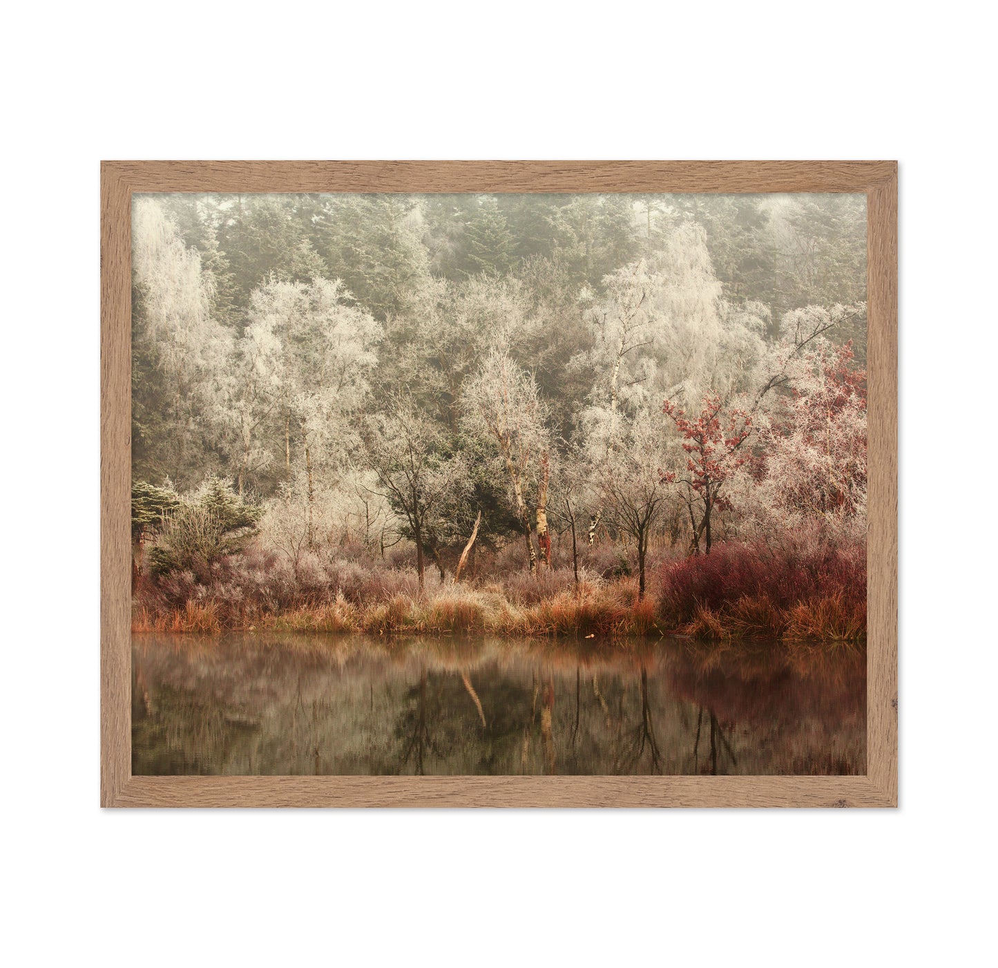 Frozen Forest