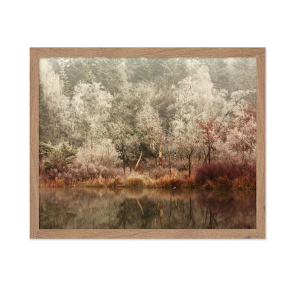 Frozen Forest