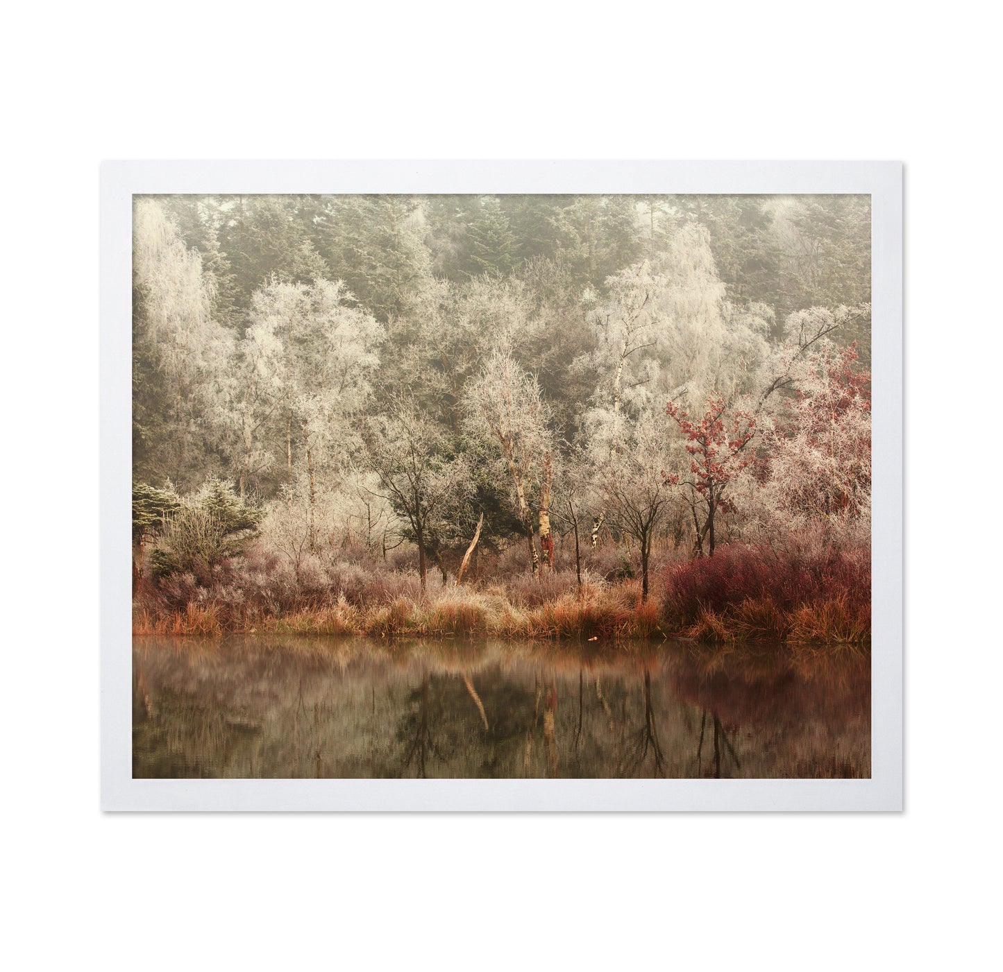 Frozen Forest