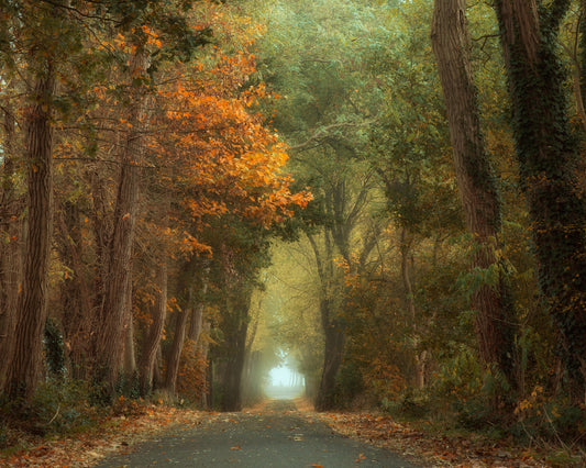 Country Road
