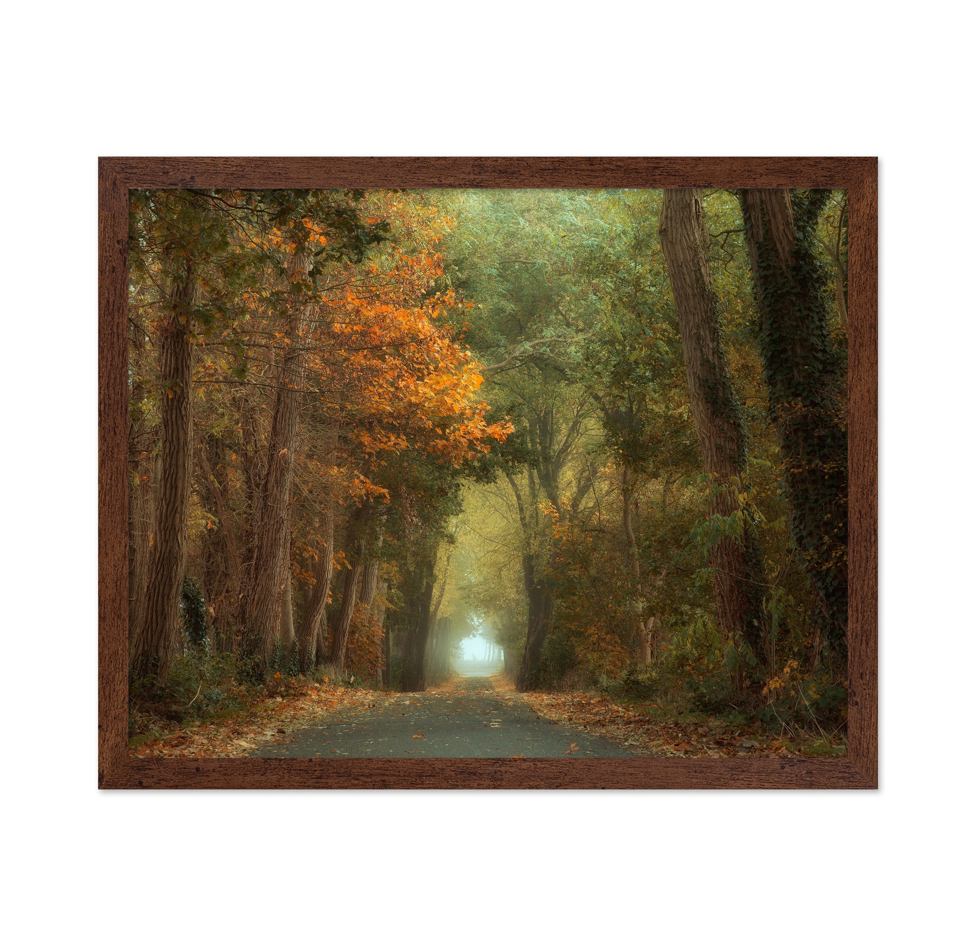 Country Road