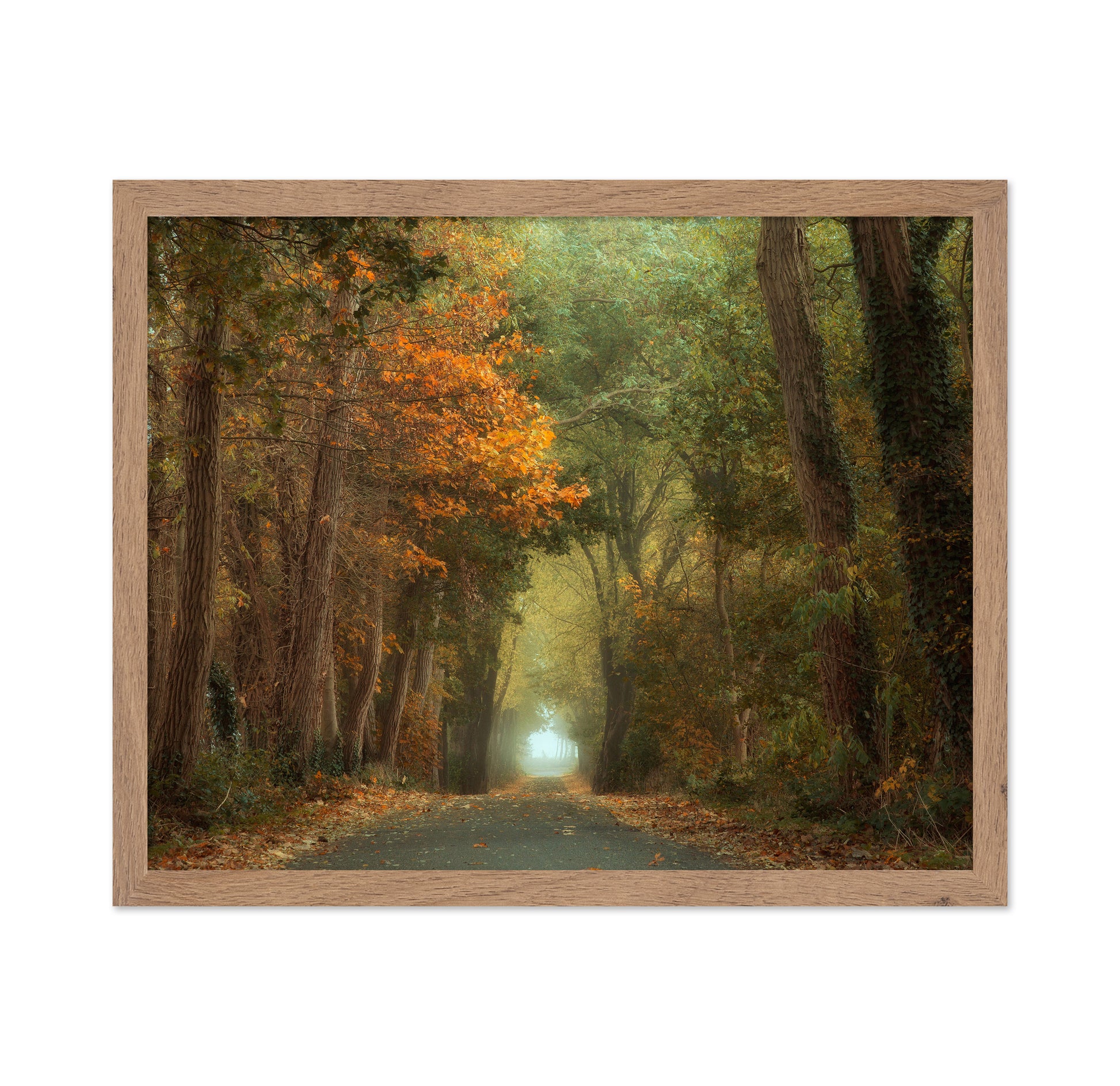 Country Road