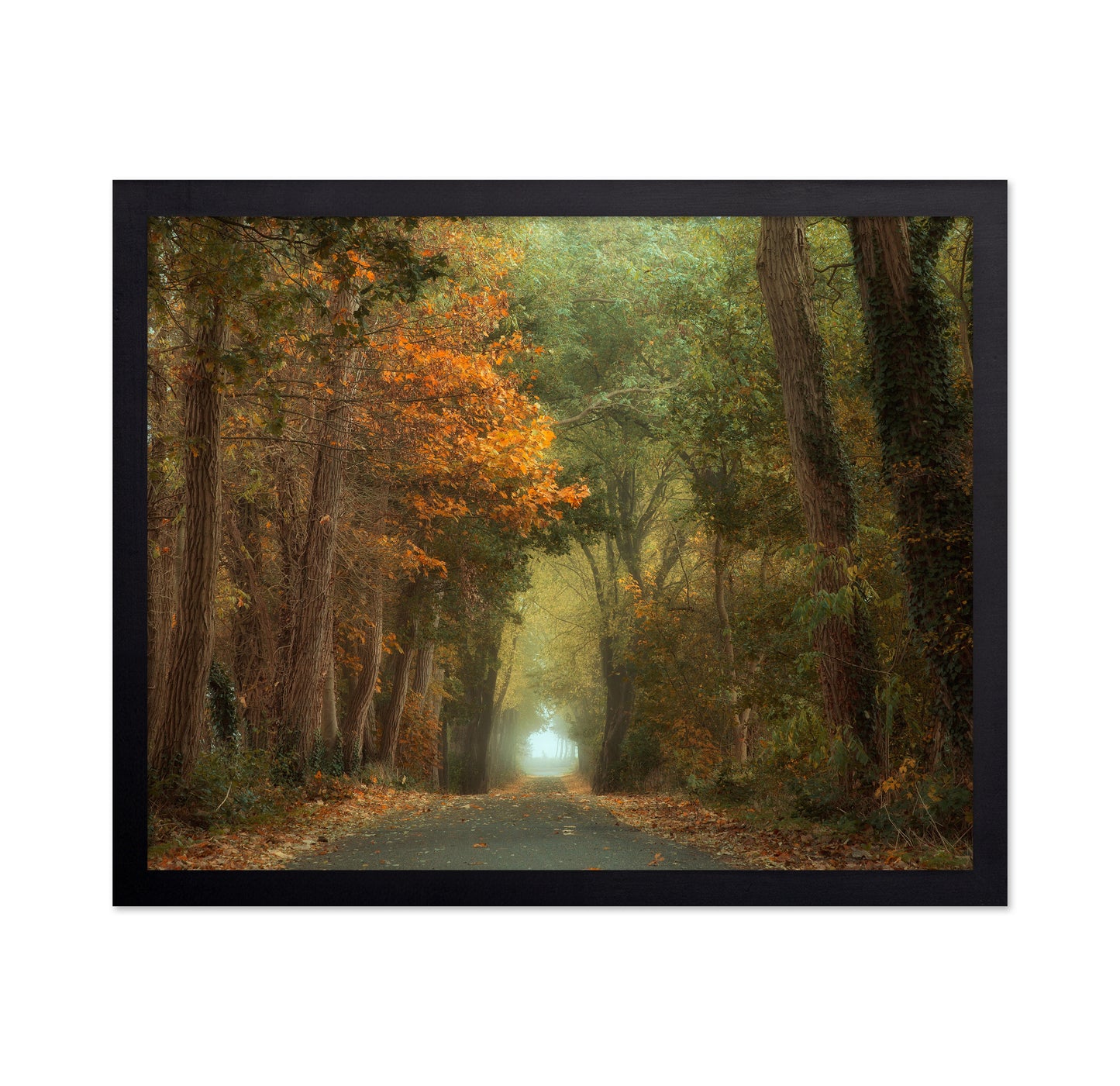 Country Road