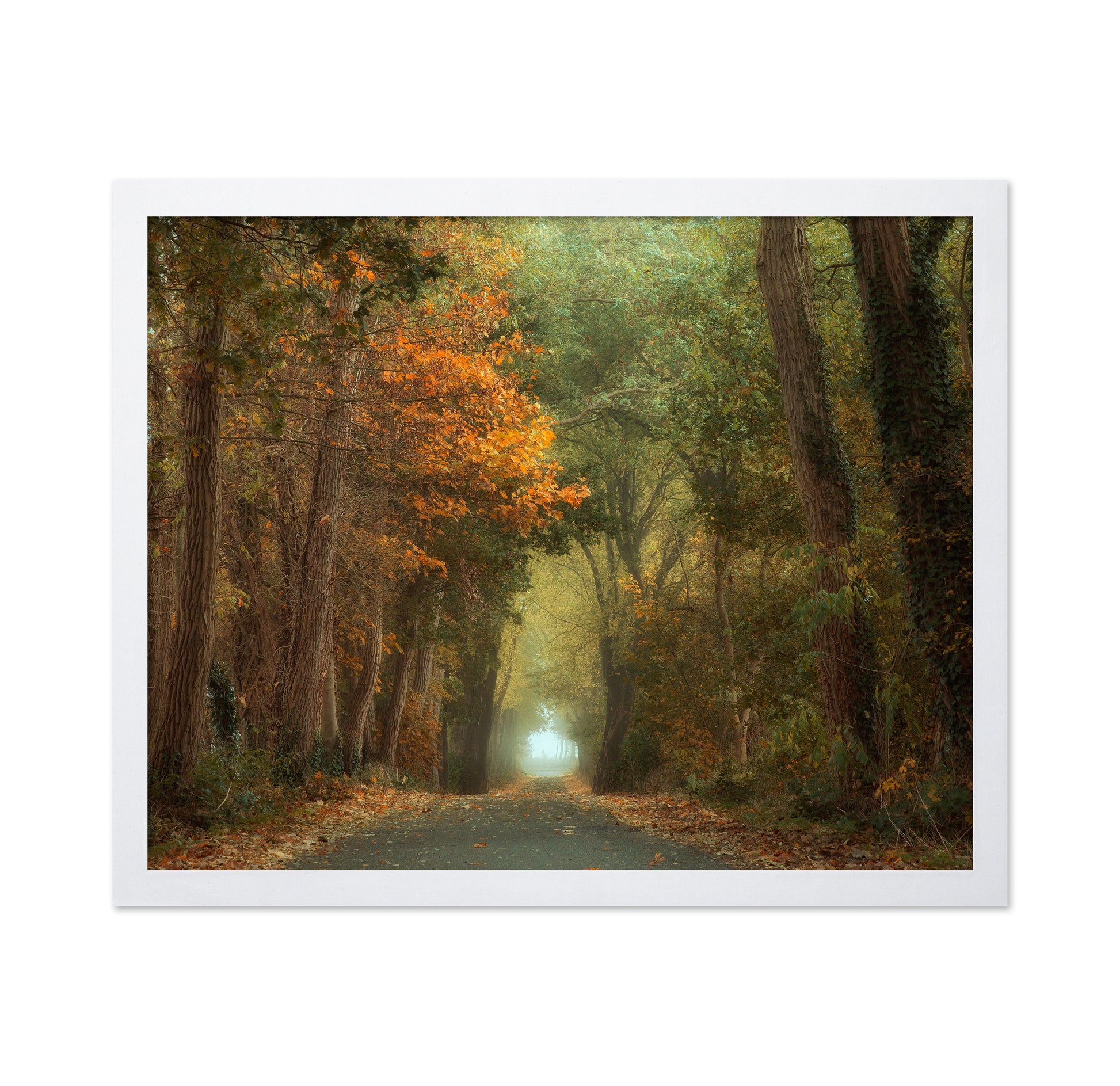 Country Road