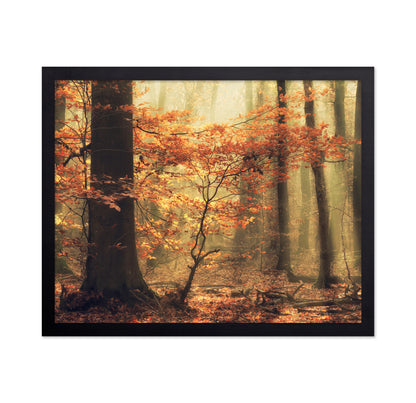 Soft Fall