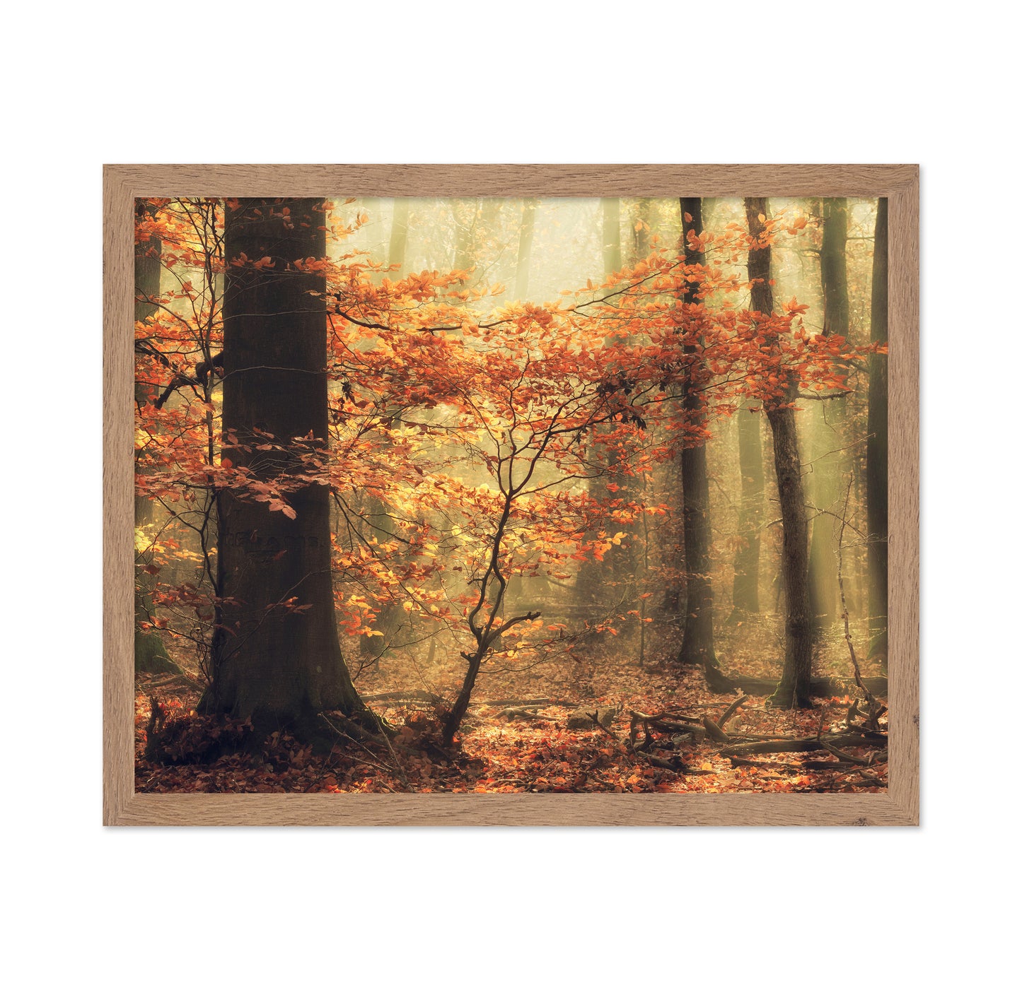 Soft Fall