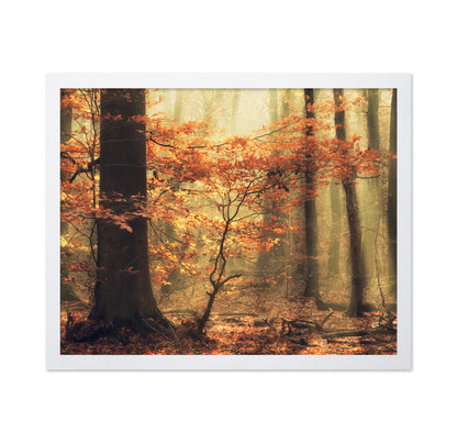 Soft Fall