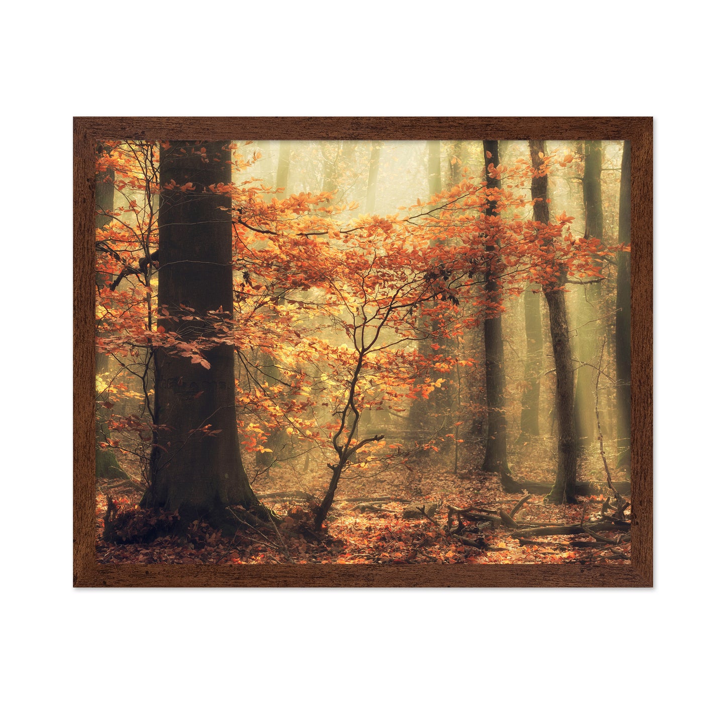 Soft Fall