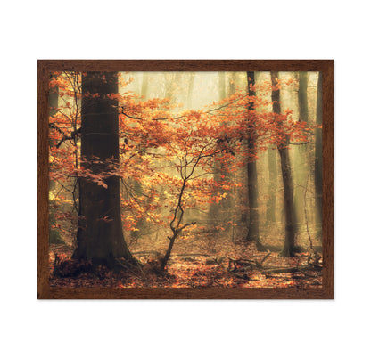 Soft Fall