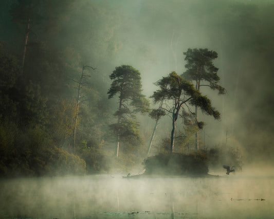 Smoke On The Water