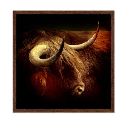 Highlander