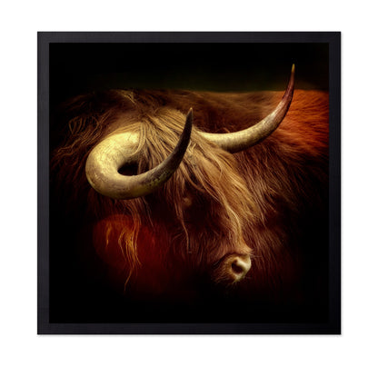 Highlander