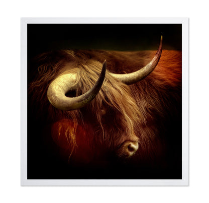 Highlander