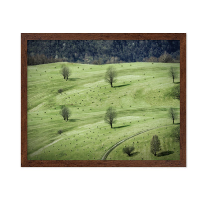 Grazing In The Pasture