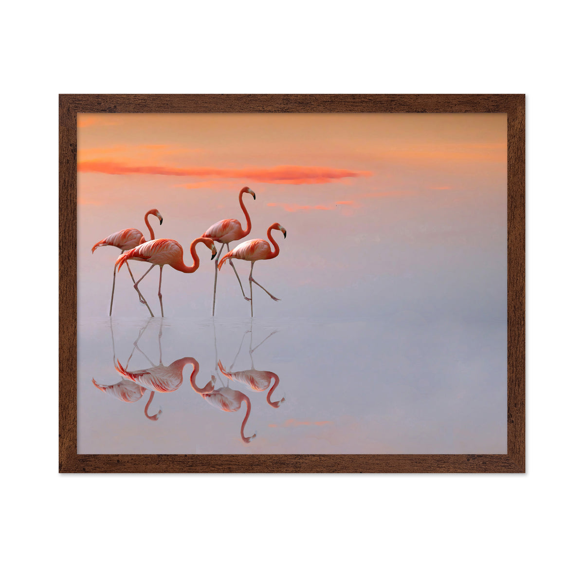 Flamingos Family