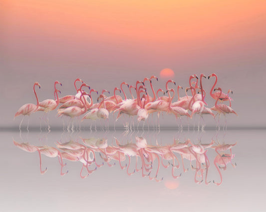 Meeting Before Sunset