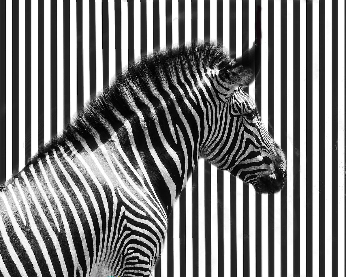 Stripped