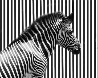 Stripped