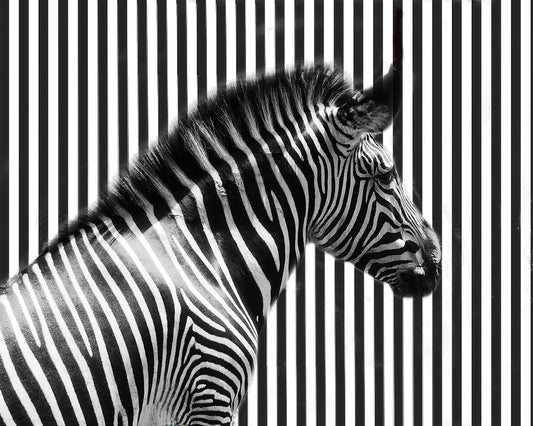 Stripped
