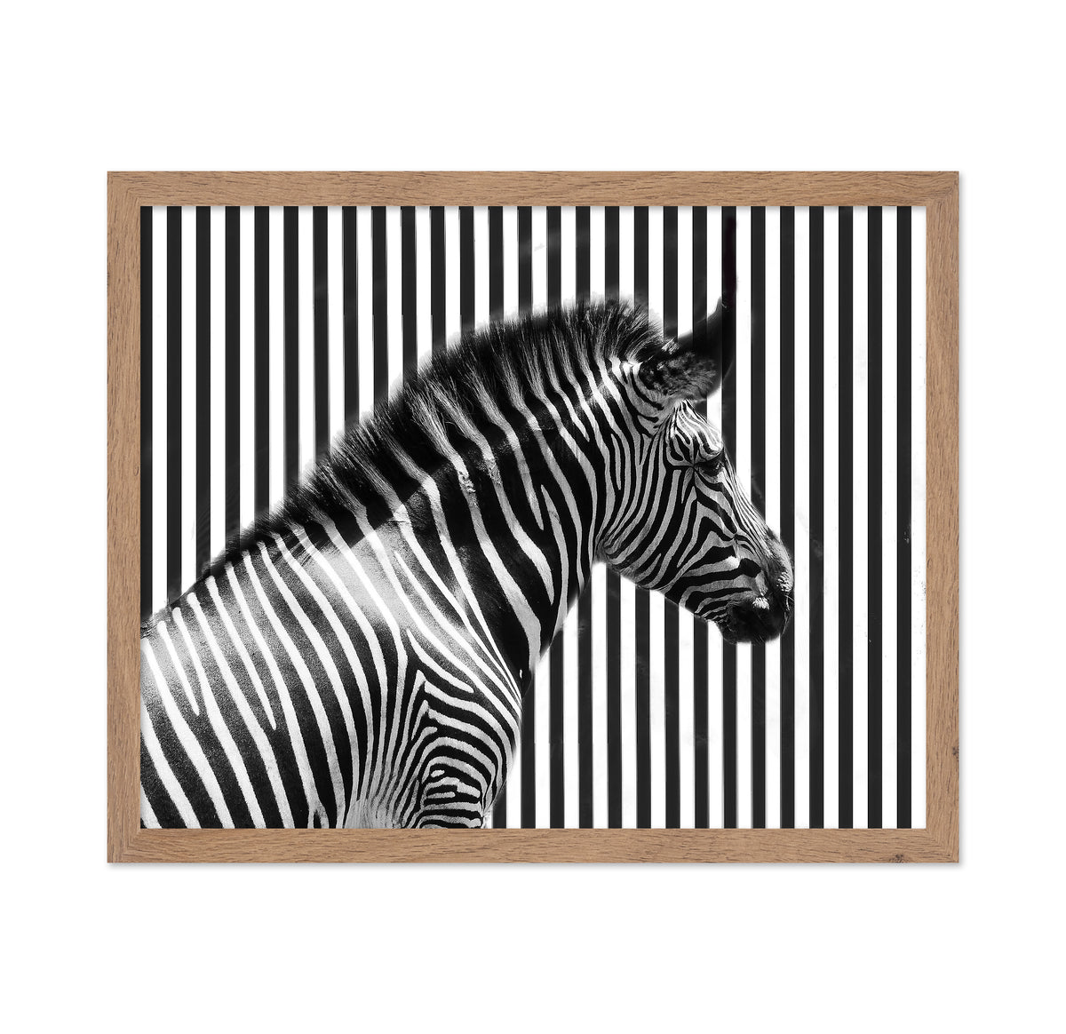 Stripped