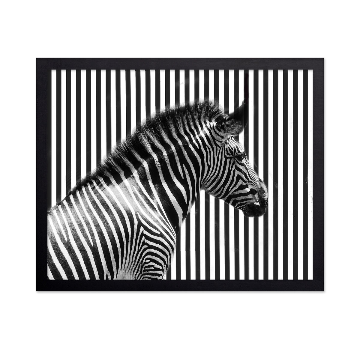 Stripped
