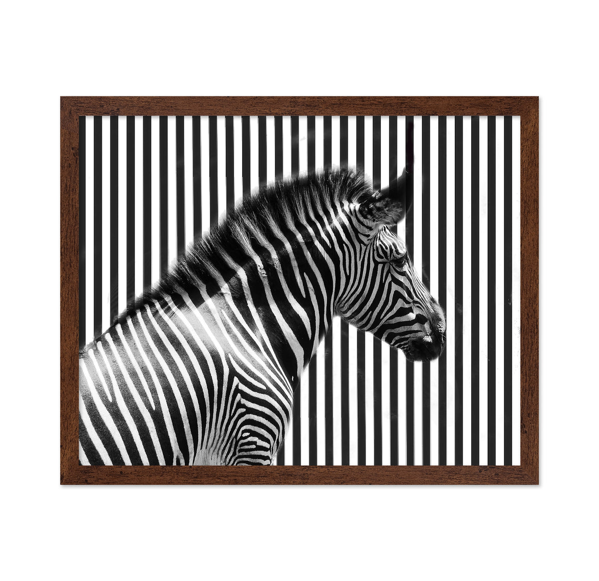 Stripped
