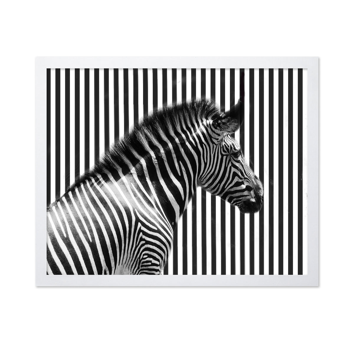 Stripped