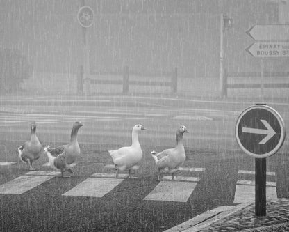Pedestrians