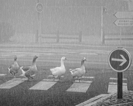 Pedestrians